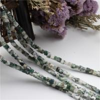 Natural Tree Agate Beads, Cube, polished, fashion jewelry & DIY Approx 15.35 Inch, Approx 