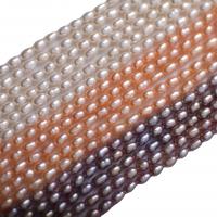 Perlas Arroz Freshwater, Perlas cultivadas de agua dulce, Bricolaje, más colores para la opción, 3.5mm, longitud:36-38 cm, Vendido por Sarta