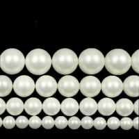 Peties perles de la mer du sud, Shell Pearl, Rond, DIY & normes différentes pour le choix & givré, blanc .96 pouce, Vendu par brin