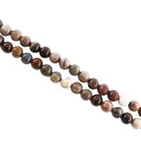 Perle aus Versteinertes Holz, Holzopal, rund, poliert, DIY & verschiedene Größen vorhanden, Länge:ca. 38 cm, verkauft von Strang