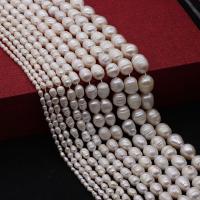 Rice Cultured Freshwater Pearl Beads, DIY Approx 35 cm [