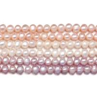 Button Cultured Freshwater Pearl Beads, DIY Approx 15 Inch 