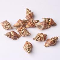 Trumpet Shell Pendant, with Zinc Alloy, mixed colors, 5-40mm 