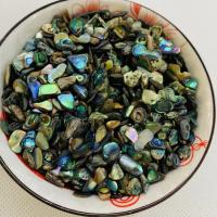 Seeohr Muschelperlen, poliert, DIY, gemischte Farben, 8-10mm, verkauft von Tasche
