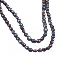 Keshi Cultured Freshwater Pearl Beads, DIY, black cm 