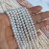 Round Cultured Freshwater Pearl Beads 4-4.5mm Approx 15.7 Inch 