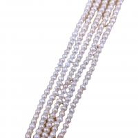 Keshi Cultured Freshwater Pearl Beads, Natural & DIY, white, 2.3-3mm cm 