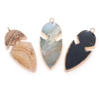 Gemstone Brass Pendants, Natural Stone, with Brass, Fish, gold color plated & Unisex 