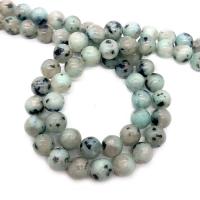 Lotus Jaspis Perlen, Lotos Jaspis, rund, DIY & verschiedene Größen vorhanden, gemischte Farben, Länge:ca. 14.96 ZollInch, verkauft von Strang