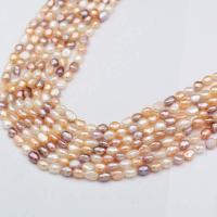 Perlas Keishi Cultivadas de Agua Dulce, Perlas cultivadas de agua dulce, Bricolaje, color mixto, longitud:aproximado 36 cm, Vendido por Sarta