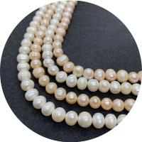 Round Cultured Freshwater Pearl Beads, polished, DIY Approx 14.96 Inch 