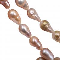 Drop Cultured Freshwater Pearl Beads, DIY, multi-colored, 10-14mm Approx 38 cm 