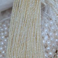 Potato Cultured Freshwater Pearl Beads, DIY, white, 2.5mm cm 