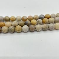 Abalorio de piedra de crisantemo, Piedra Crisantemo, pulido, Bricolaje, color mixto, longitud:aproximado 38 cm, Vendido por Sarta