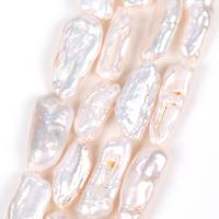 Biwa Cultured Freshwater Pearl Beads, DIY, white Approx 38 cm 