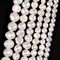 Perlas Keishi Cultivadas de Agua Dulce, Perlas cultivadas de agua dulce, Bricolaje, Blanco, longitud:aproximado 38 cm, Vendido por Sarta
