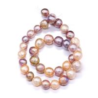 Perlas Cultivadas Nucleadas de Agua Dulce, Perlas cultivadas de agua dulce, Natural & Bricolaje, rosa púrpura, 11-12mm, longitud:36-40 cm, Vendido por Sarta