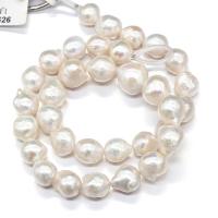 Freshwater Cultured Nucleated Pearl Beads, Freshwater Pearl, Natural & DIY, white, 10-15mm cm 
