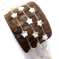 Natural Freshwater Shell Beads, White Shell, with Black Shell & Pink Shell & Yellow Shell, Star, DIY 8mm 