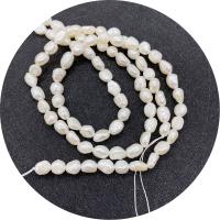 Keshi Cultured Freshwater Pearl Beads, irregular, polished, DIY white Approx 14.96 Inch 