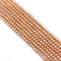 Round Cultured Freshwater Pearl Beads, polished, DIY Approx 14.96 Inch 