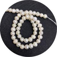 Round Cultured Freshwater Pearl Beads, irregular, polished, DIY white Approx 14.96 Inch 