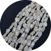 Biwa Cultured Freshwater Pearl Beads, irregular, polished, DIY, white, 15x23- Approx 14.96 Inch 