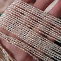 Perlas Arroz Freshwater, Perlas cultivadas de agua dulce, Blanco, 4-5mm, longitud:aproximado 13 Inch, Vendido por Sarta