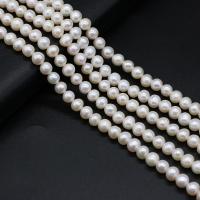 Round Cultured Freshwater Pearl Beads, DIY, white, 6-7mm Approx 14.17 Inch 