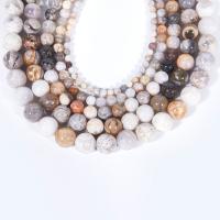 Natürlichen Bambus Achat Perlen, poliert, DIY & verschiedene Größen vorhanden, Länge:ca. 15.16 ZollInch, verkauft von Strang
