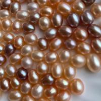 Natural Freshwater Pearl Loose Beads, Rice, DIY 