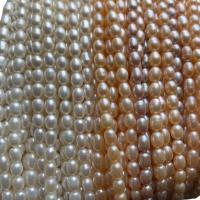 Perlas Arroz Freshwater, Perlas cultivadas de agua dulce, Bricolaje, más colores para la opción, 4-5mm, longitud:aproximado 14.57 Inch, Vendido por Sarta