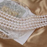 Round Cultured Freshwater Pearl Beads, white, 8-9mm Approx 15 Inch 