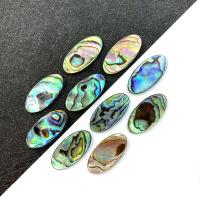 Abalone Shell Cabochon, Oval, DIY, multi-colored 