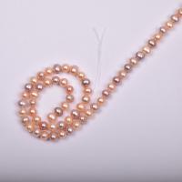 Round Cultured Freshwater Pearl Beads, DIY, mixed colors, 5-6mm Approx 14.96 Inch 