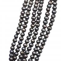 Round Cultured Freshwater Pearl Beads, DIY, black, 7-8mm Approx 36-38 cm 