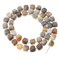 Natürliche Botswana Achat Perlen, mit Seedbead, Würfel, DIY, grau, 7x7x7mm, Länge:ca. 15.5 ZollInch, verkauft von Strang