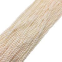 Perlas Arroz Freshwater, Perlas cultivadas de agua dulce, para mujer, beige, 2-3mm, longitud:aproximado 10.62 Inch, Vendido por Sarta
