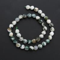 Natural Tree Agate Beads, Round, polished, Star Cut Faceted & DIY mixed colors Approx 14.96 Inch 