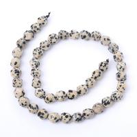 Perles dalmatiens, Dalmate, Rond, poli, Surface de coupe de l'étoile & DIY & normes différentes pour le choix, couleurs mélangées Environ 14.96 pouce, Vendu par brin