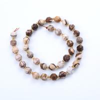 Zebra Jasper Bead, with Seedbead, Lantern, polished, DIY & faceted, mixed colors Approx 14.96 Inch 