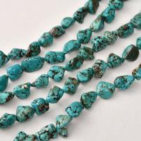Perles en Turquoise naturelle, Irrégulière, DIY, 10-15mm Environ 15.35 pouce, Environ Vendu par brin