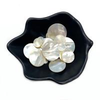 Seashell Cabochon, Natural Seashell, Flat Round, DIY white 