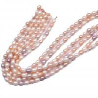 Perlas Arroz Freshwater, Perlas cultivadas de agua dulce, Natural & Bricolaje & para mujer, multicolor, 5-6mm, longitud:36-38 cm, Vendido por Sarta
