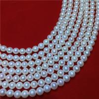 Round Cultured Freshwater Pearl Beads, DIY, white, 8-9mm Approx 40 cm 