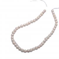 Round Cultured Freshwater Pearl Beads, Slightly Round, Natural & DIY, white, 8-9mm cm 