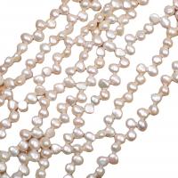 Keshi Cultured Freshwater Pearl Beads, Natural & DIY, white, 5-6mm cm 
