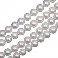 Round Cultured Freshwater Pearl Beads, Slightly Round, Natural & DIY white 