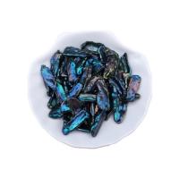 Süßwasser-Zuchtperlen Anhänger, Natürliche kultivierte Süßwasserperlen, unisex, schwarz, 6-12mm, verkauft von PC