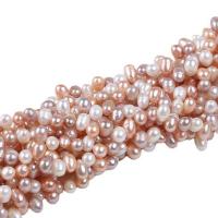 Rice Cultured Freshwater Pearl Beads, DIY, mixed colors, 5-6mm Approx 14-15 Inch 